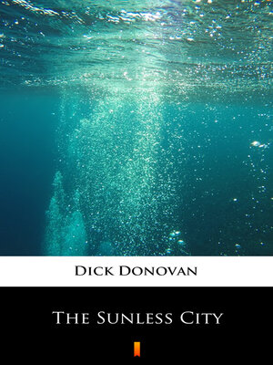 cover image of The Sunless City